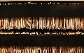 related article thumbnail