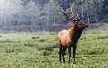 related article thumbnail