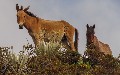 related article thumbnail
