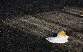 related article thumbnail