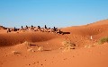 related article thumbnail