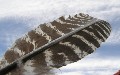 related article thumbnail