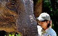 related article thumbnail