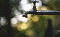 related article thumbnail