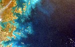 article thumbnail