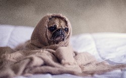 Top REST API Best Practices