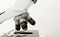 related article thumbnail
