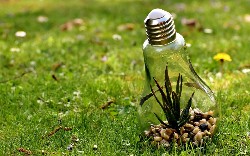 Ask a DZone Editor: I'm a Junior Developer. Should I Blog?