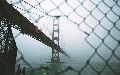 related article thumbnail