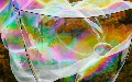 related article thumbnail