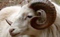 related article thumbnail