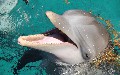 related article thumbnail