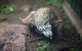 related article thumbnail