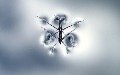 related article thumbnail
